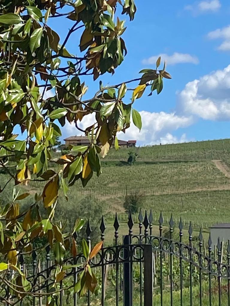 Piemonte Country House Agliano Terme Ngoại thất bức ảnh